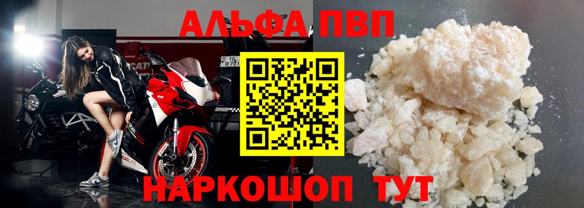 A PVP СК Губкинский