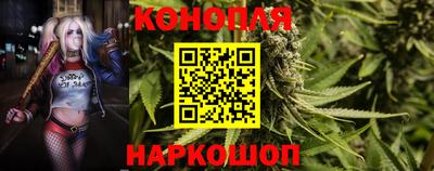 крисы Кингисепп