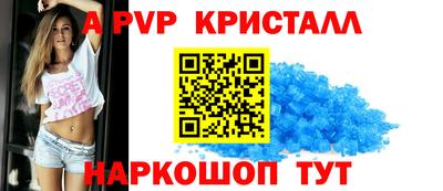 крисы Кингисепп
