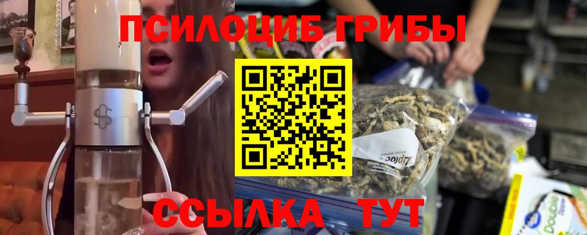 Галлюциногенные грибы прущие грибы  Псилоцибиновые грибы MAGIC MUSHROOMS  Вход с VPN  где купить   Губкинский 